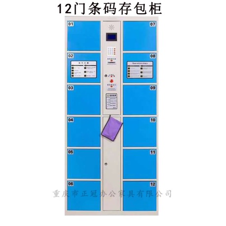 重庆存包柜|12门智能储物柜厂家